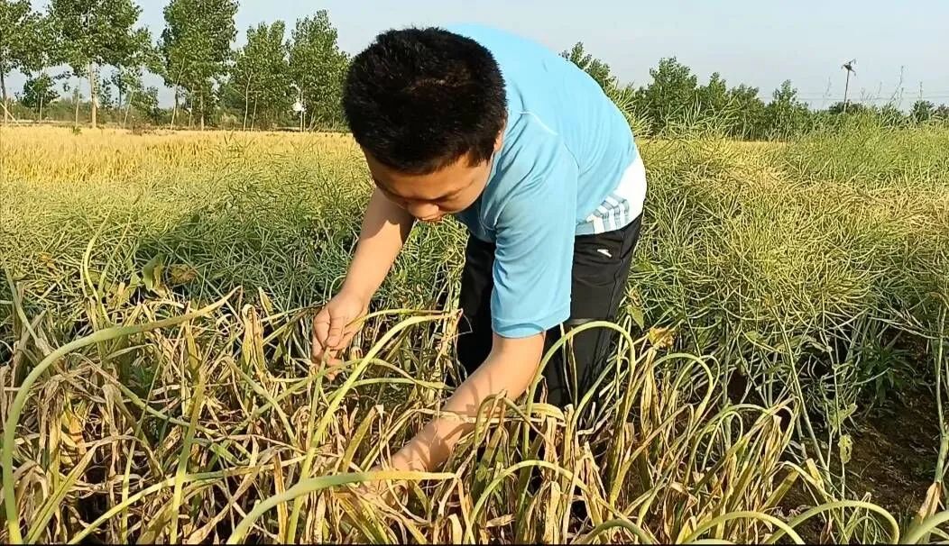 喻梓轩 武汉市新洲区第一初级中学八（2）班