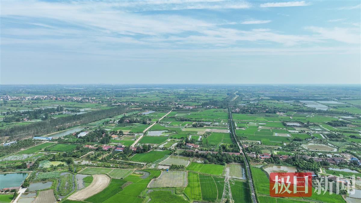 绵延约20平方千米的马山墓群分布在马山镇、川店镇境内，是东周时期的古遗址。（通讯员 杨协兵 摄）.jpg