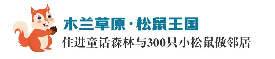畫板 1.png