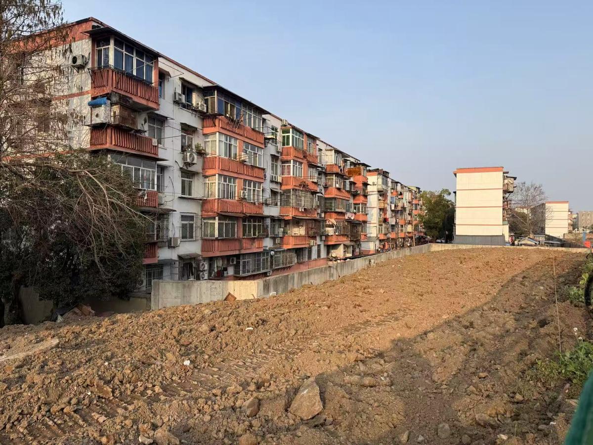 植树前 平整土地.png