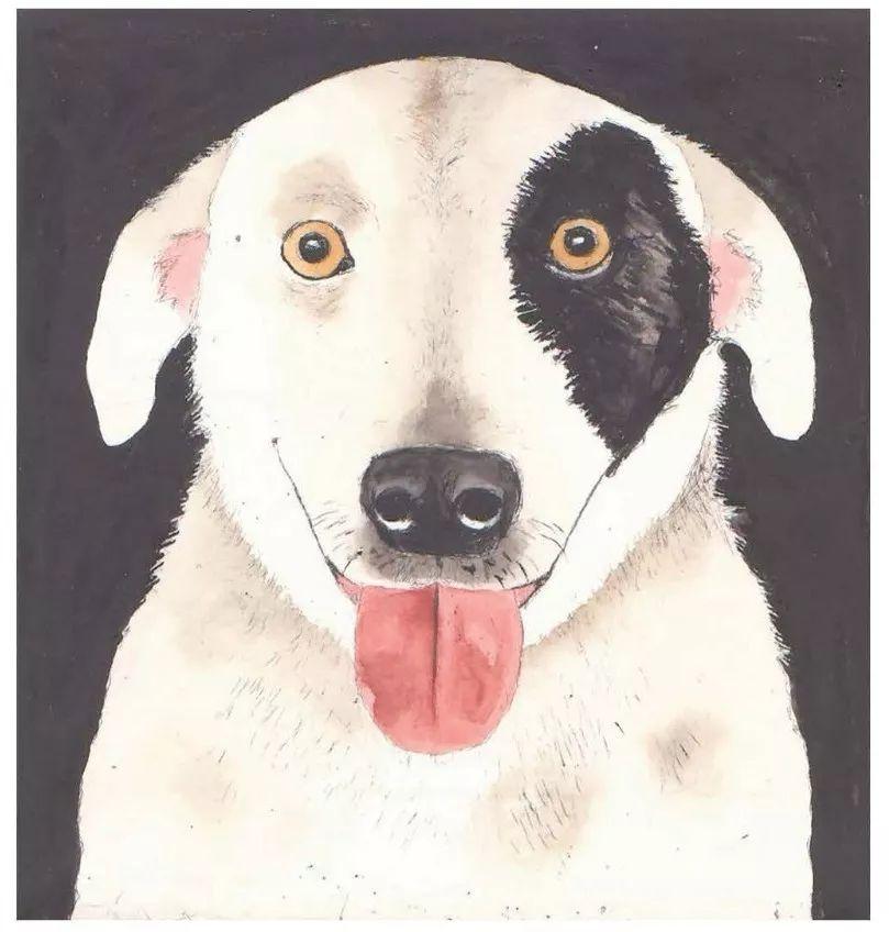 凯·麦克多纳《爱因斯坦》