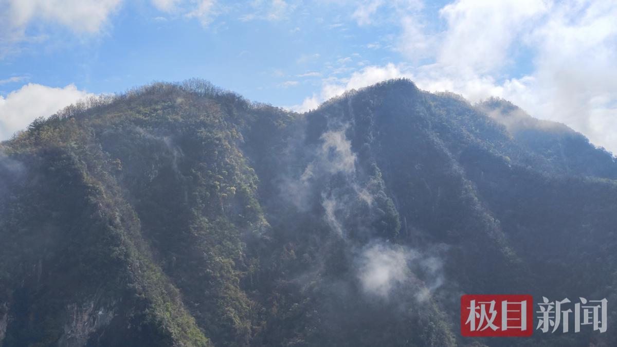 红军墓所在的七叶山草木葱茏风景优美。 徐光意摄.png