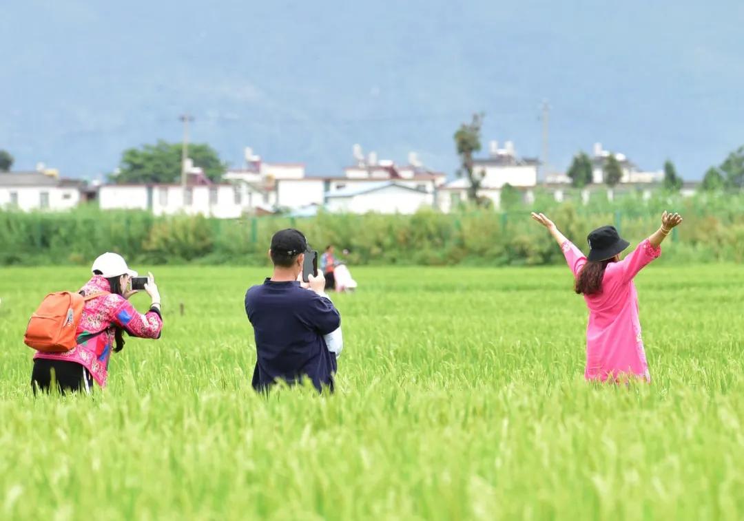 为什么“特种兵旅游”不香了？这届年轻人开始流行“慢充式旅游”