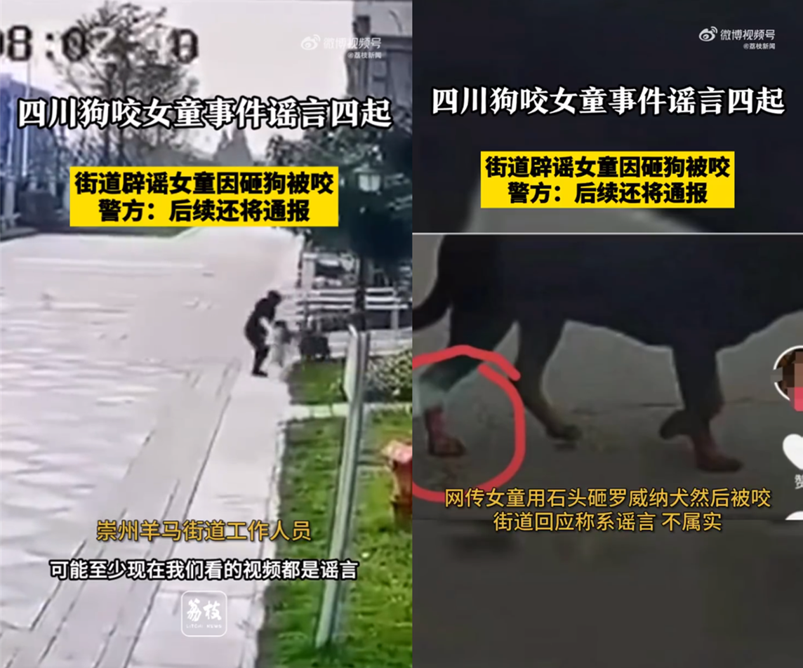 相关新闻视频截图