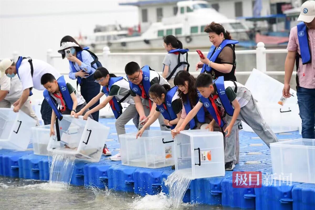 5月20日，武汉渔政码头放流现场（摄影记者刘中灿）