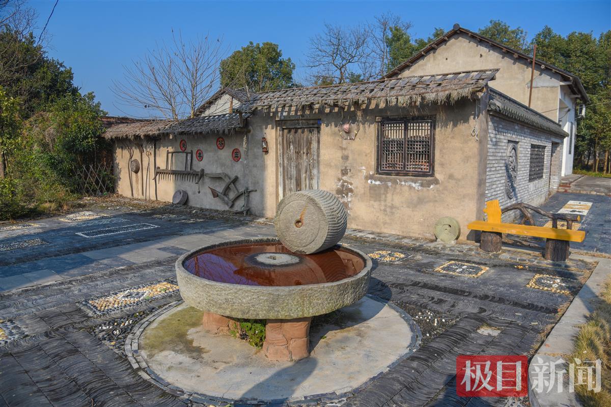 荆州区马山镇蔡桥村，民居进行了“一户一景”景观点打造。（极目新闻记者 黄志刚  摄）.jpg