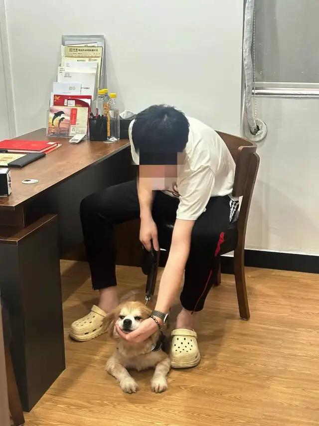 4只宠物狗获得10多万遗产，这样的遗嘱有法律效力吗？