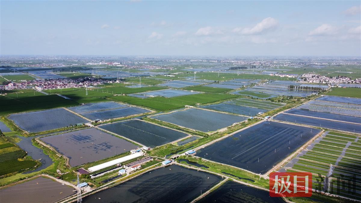 兴化境内湖泊密布 (1).jpg