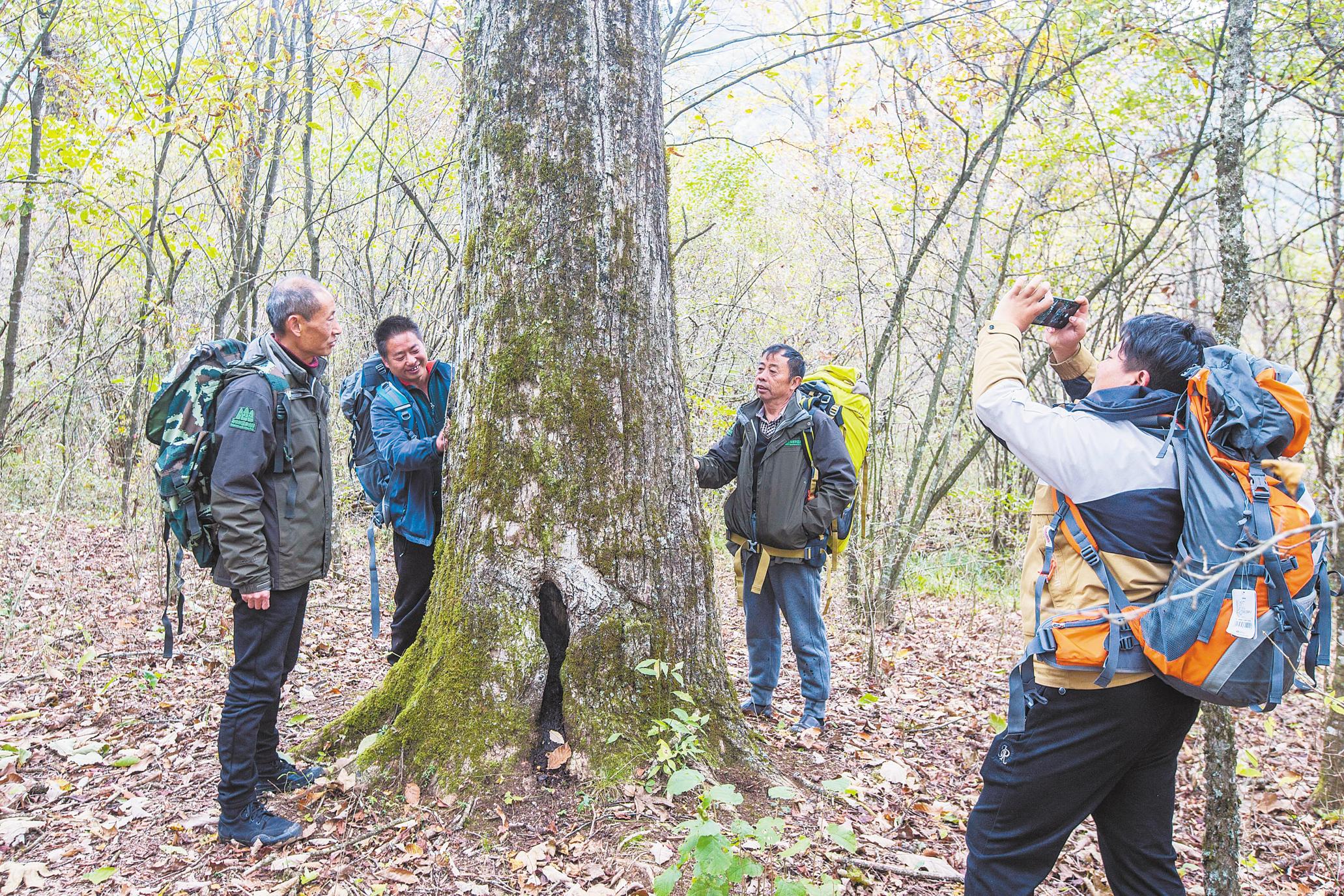 神农架国家公园巡护人员开展野外巡护。（湖北日报全媒记者 梅涛 摄）