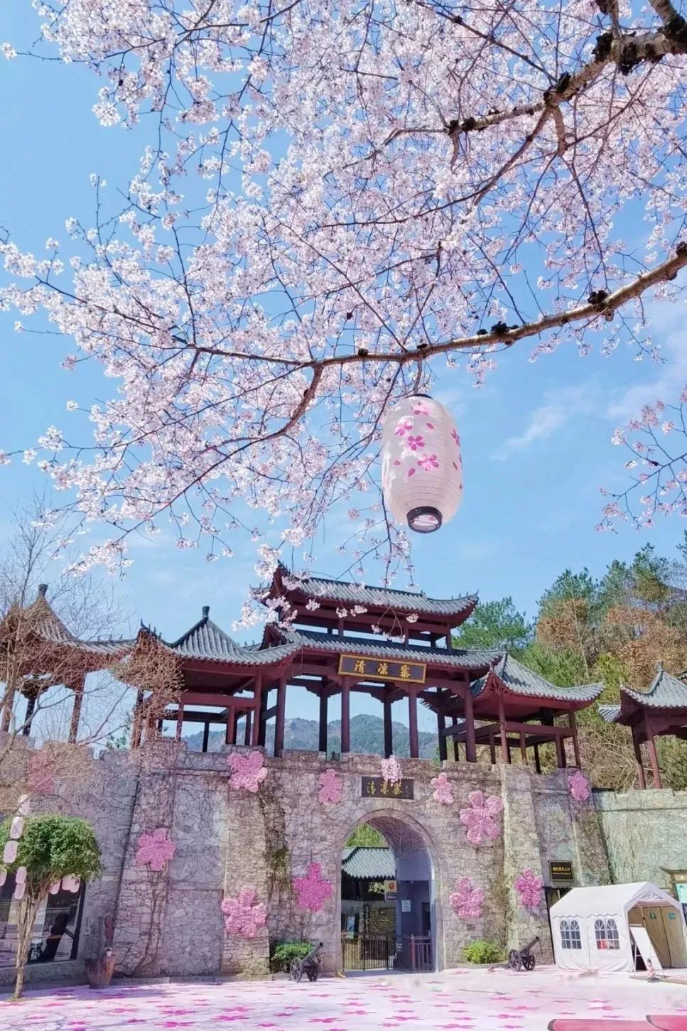 泫然泪下音译歌词,盗墓笔记之凤女惊华,黑色豪门拼房进行曲,梦幻龙窟地图,尤利娅-拉斯莫维奇，中华水网