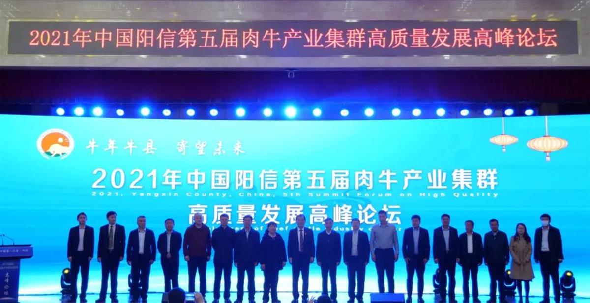 阳信县曾召开第五届肉牛产业集群高质量发展高峰论坛(图源:阳信网).jpg 阳信县曾召开第五届肉牛产业集群高质量发展高峰论坛(图源:阳信网).jpg