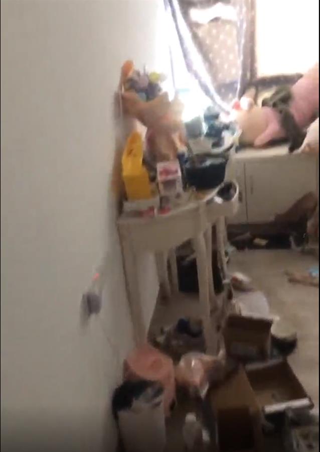 44.png