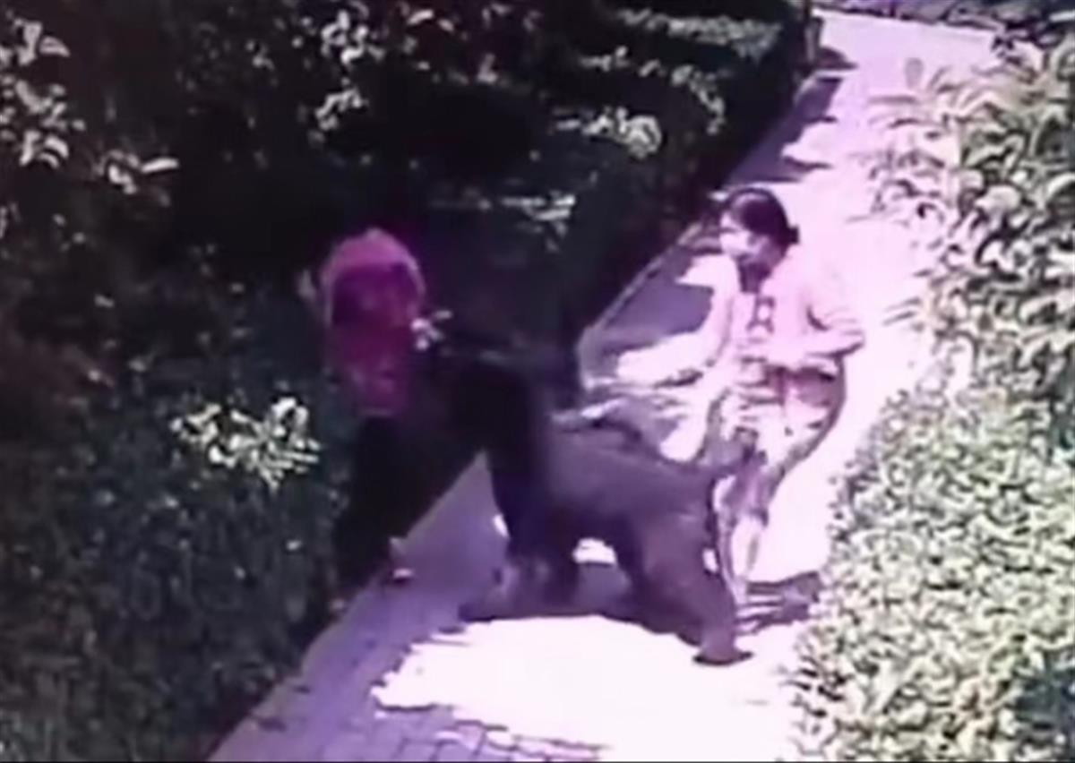 QQ图片20211123202950.png QQ图片20211123202950.png