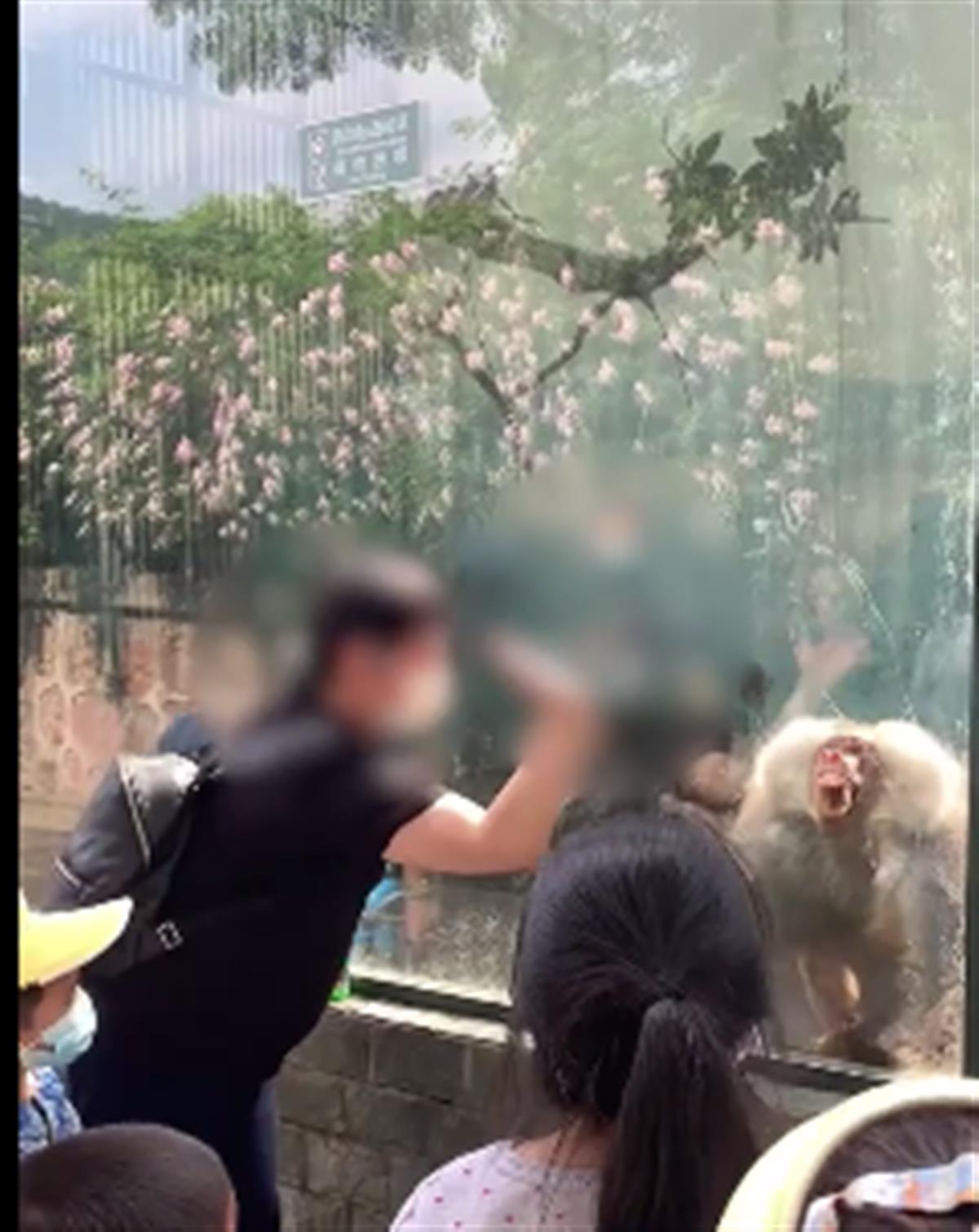 QQ截图20220507141305.png QQ截图20220507141305.png