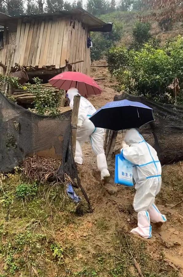翻山越岭守护你武汉大学生返乡参与百色战疫