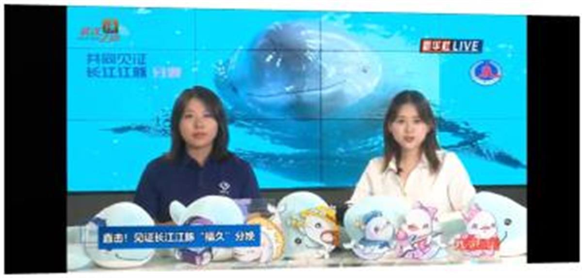 图片2  2022年7月5日，配合新华社开展“江豚分娩”直播，2.2亿网民共同见证“江豚添丁”.jpg
