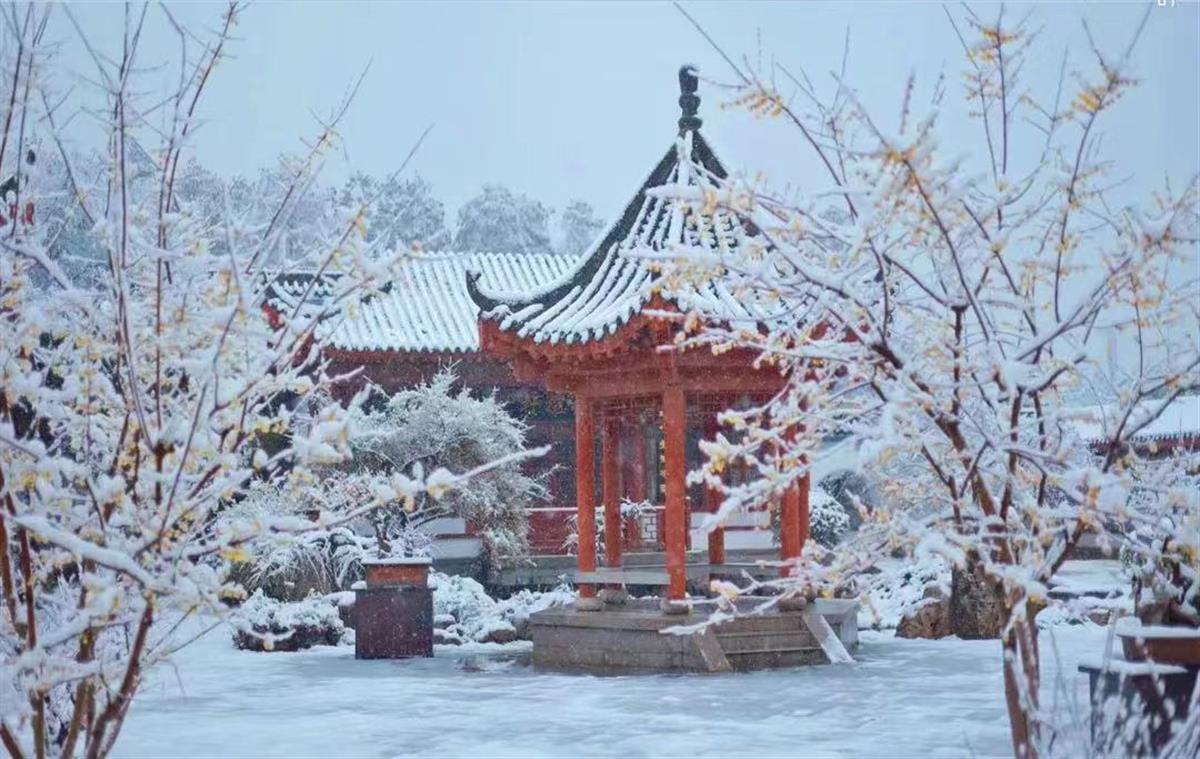 武汉东湖梅园.jpg