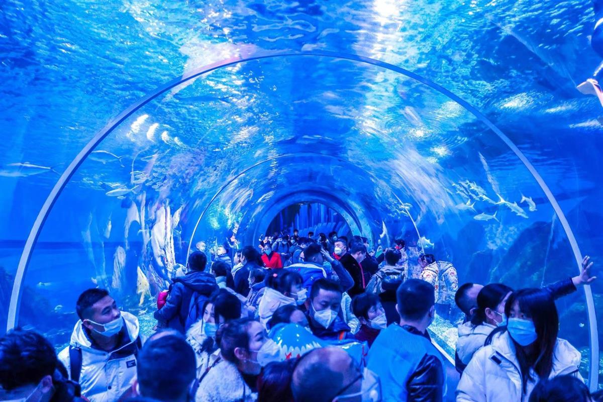 武汉极地海洋公园 海底隧道.png