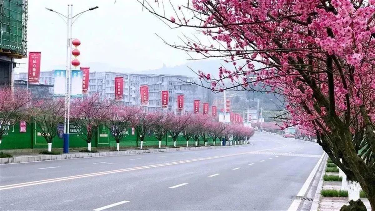 微信图片_20230221131305.jpg