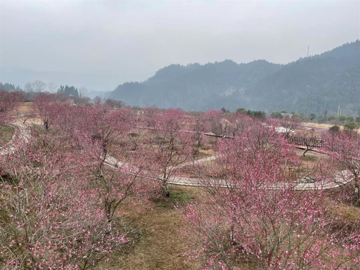 微信图片_20230221131330.jpg