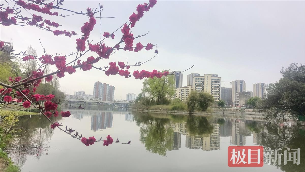 微信图片_20230327164658.jpg