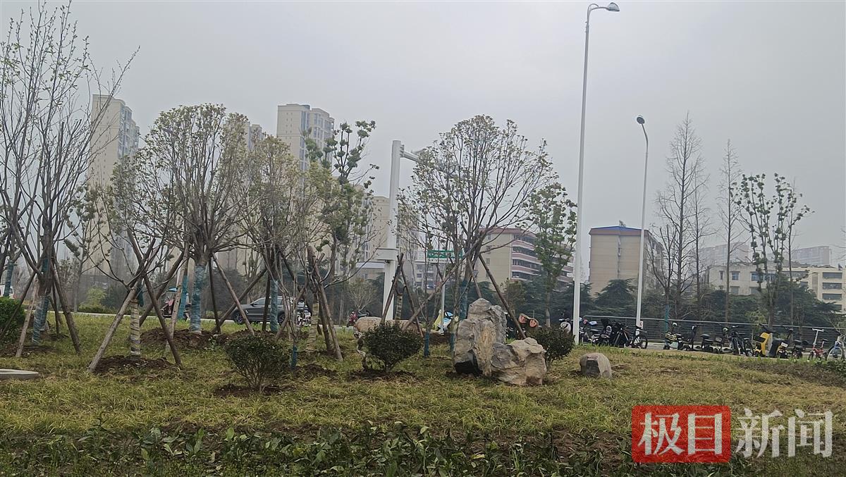 微信图片_20230327164704.jpg