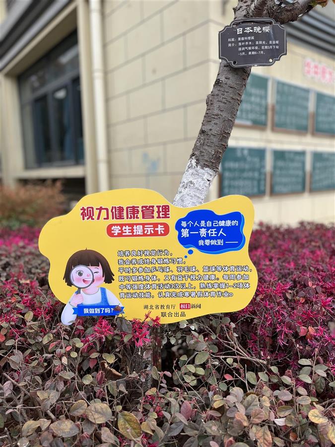 c型视力表 怎么看清教学楼墙上贴着巨型视力表，校园里遍布视力提示卡……低近视率明星校这样炼成_https://www.jmylbn.com_新闻资讯_第1张