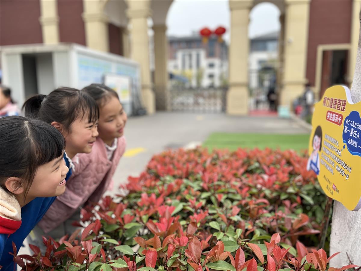 c型视力表 怎么看清教学楼墙上贴着巨型视力表，校园里遍布视力提示卡……低近视率明星校这样炼成_https://www.jmylbn.com_新闻资讯_第2张