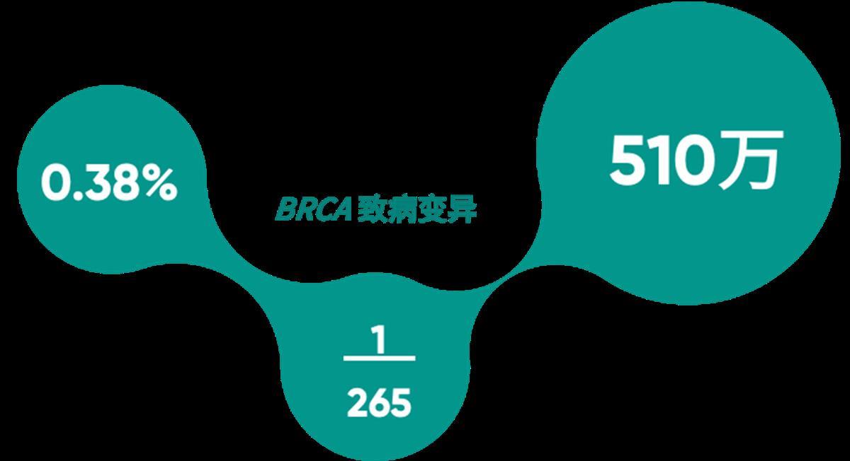BRCA致病变异.png