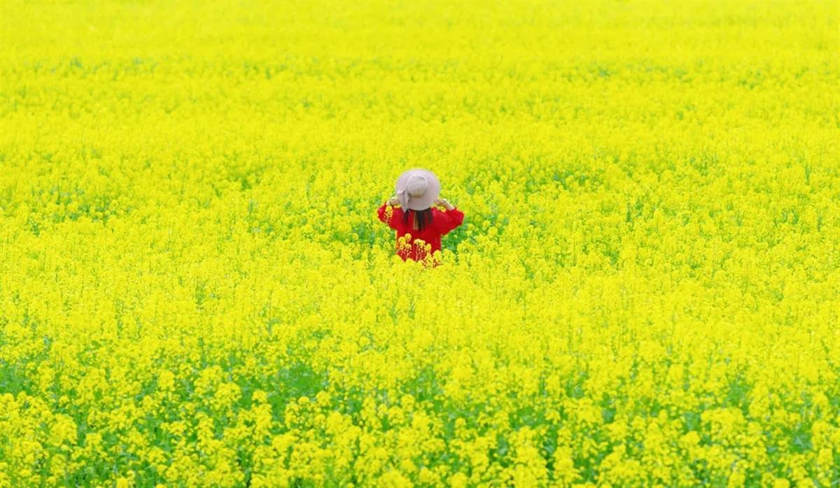 mmexport1681201024706.jpg mmexport1681201024706.jpg