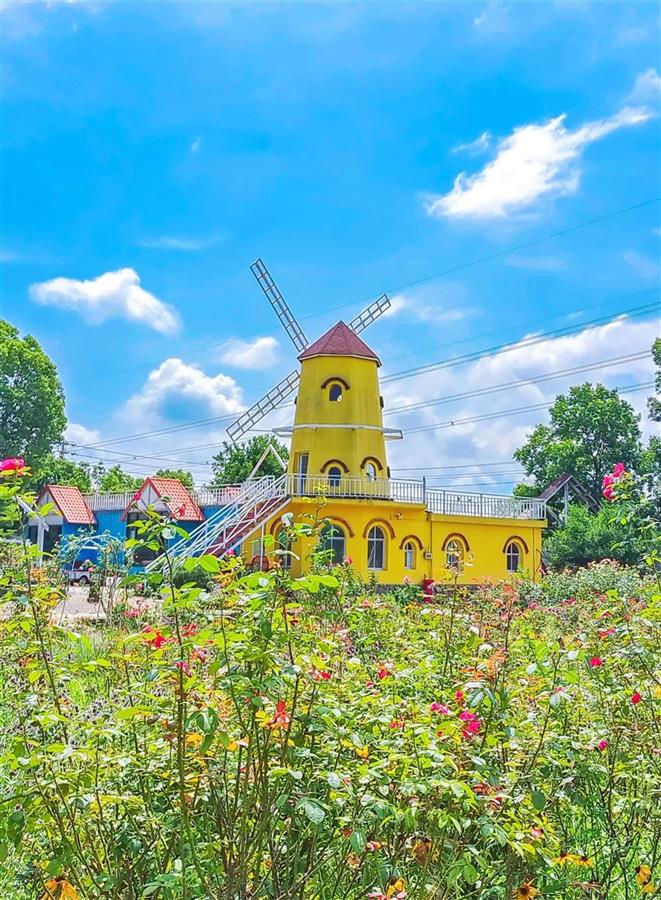 mmexport1681201205546.jpg mmexport1681201205546.jpg