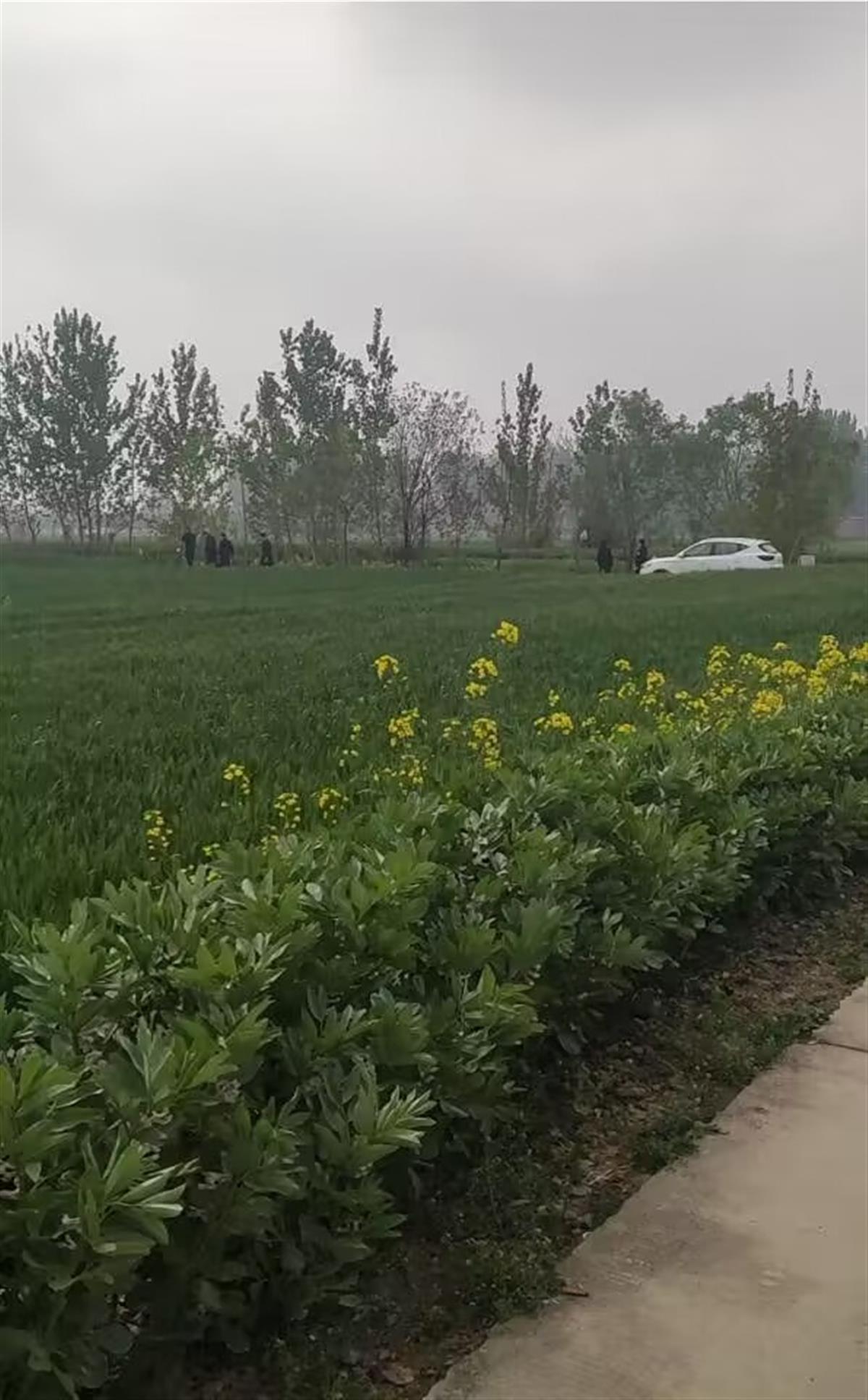 QQ图片20230414220312.jpg