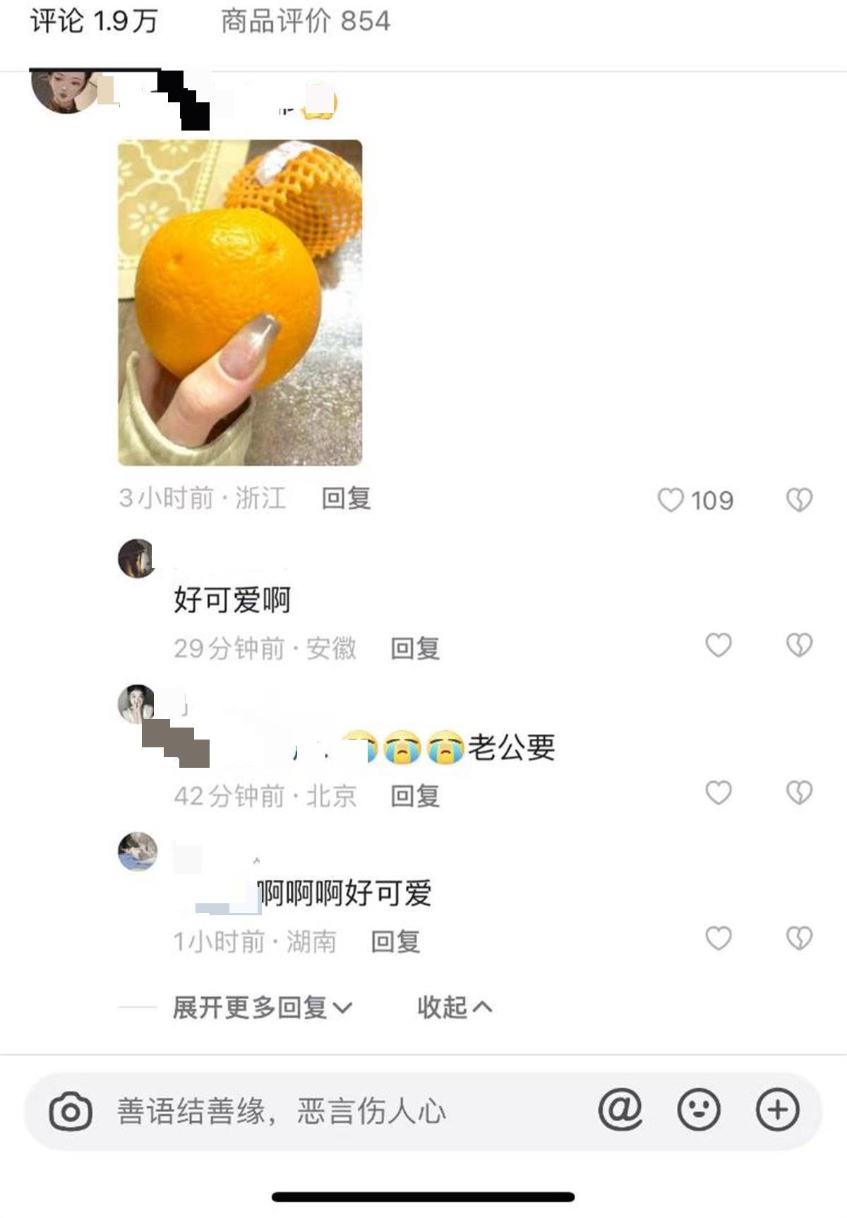A金毛狗摘橙子1.jpg