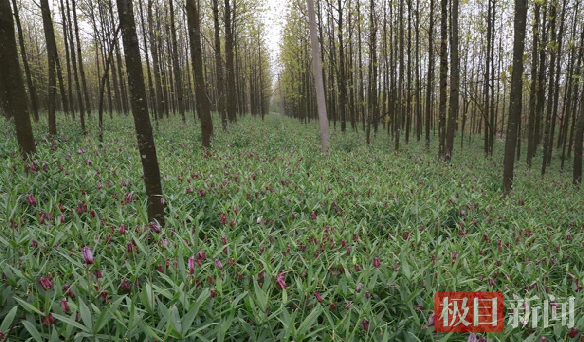 微信图片_20230425170652.jpg 微信图片_20230425170652.jpg