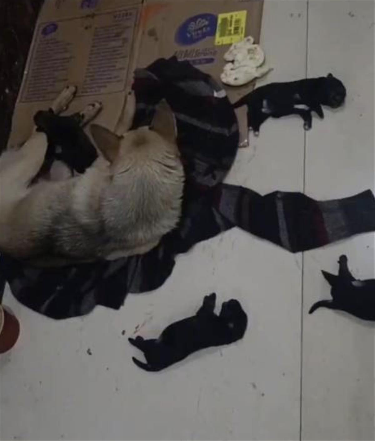 截屏2023-05-04 20.59.53.png