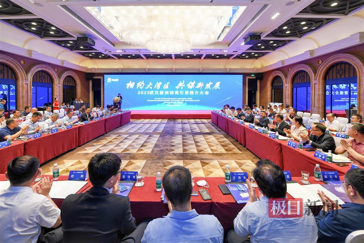 “相约大湾区 共谋新发展”2023武汉新洲招商引资推介大会。叶东辉摄.jpg