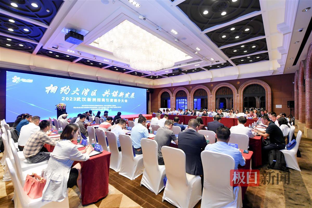 新洲招商引资推介大会现场。叶东辉摄.jpg