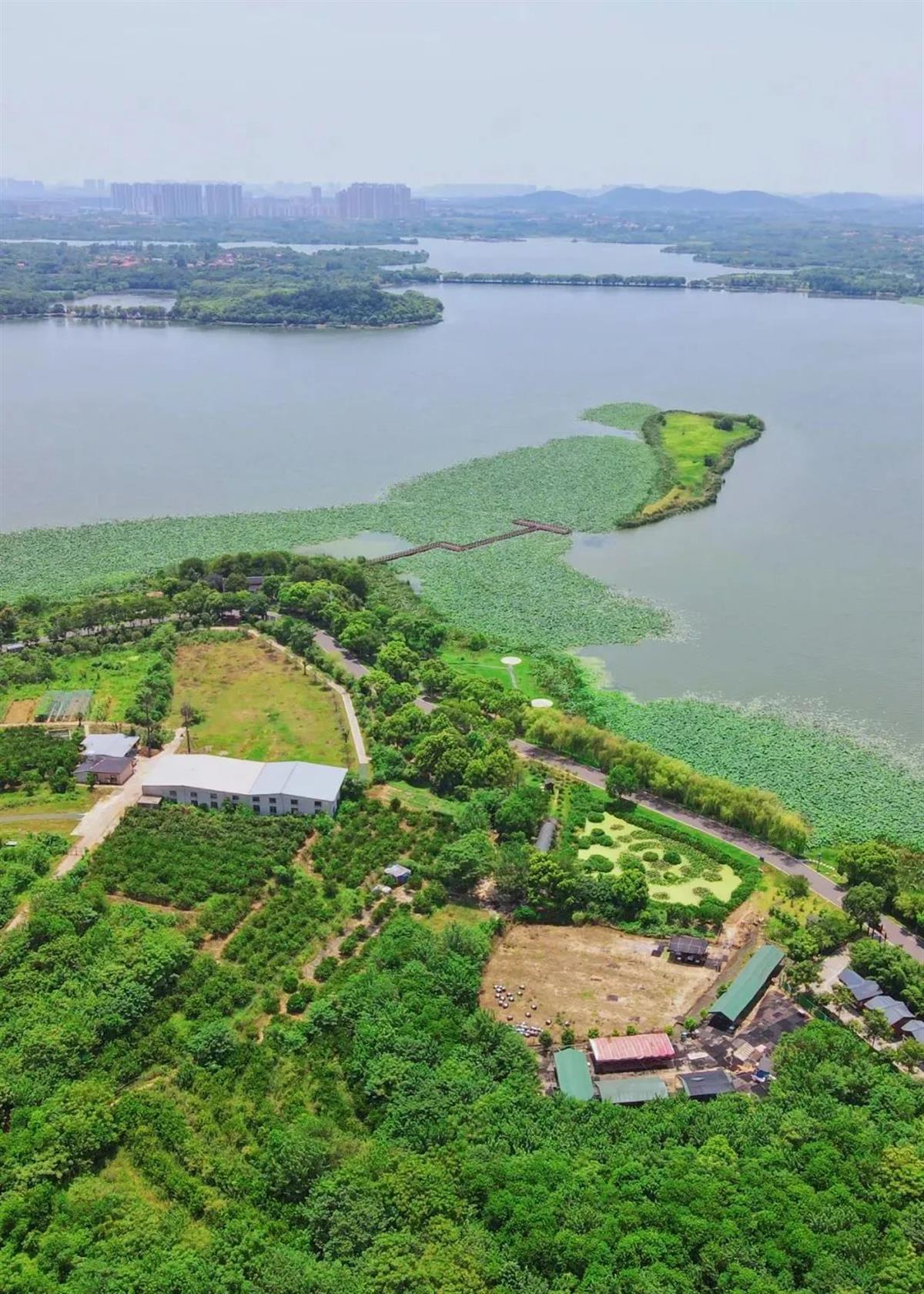 微信图片_20230517180833.jpg 微信图片_20230517180833.jpg