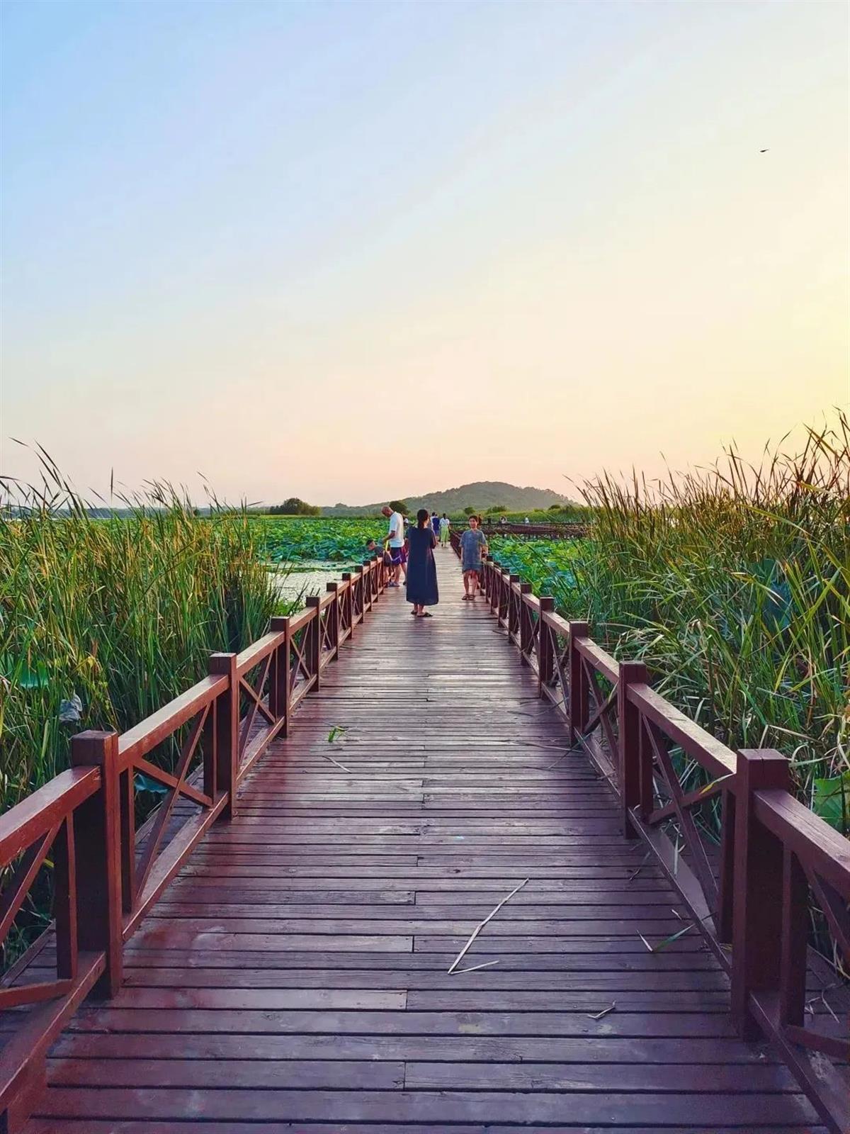 微信图片_20230517180844.jpg 微信图片_20230517180844.jpg