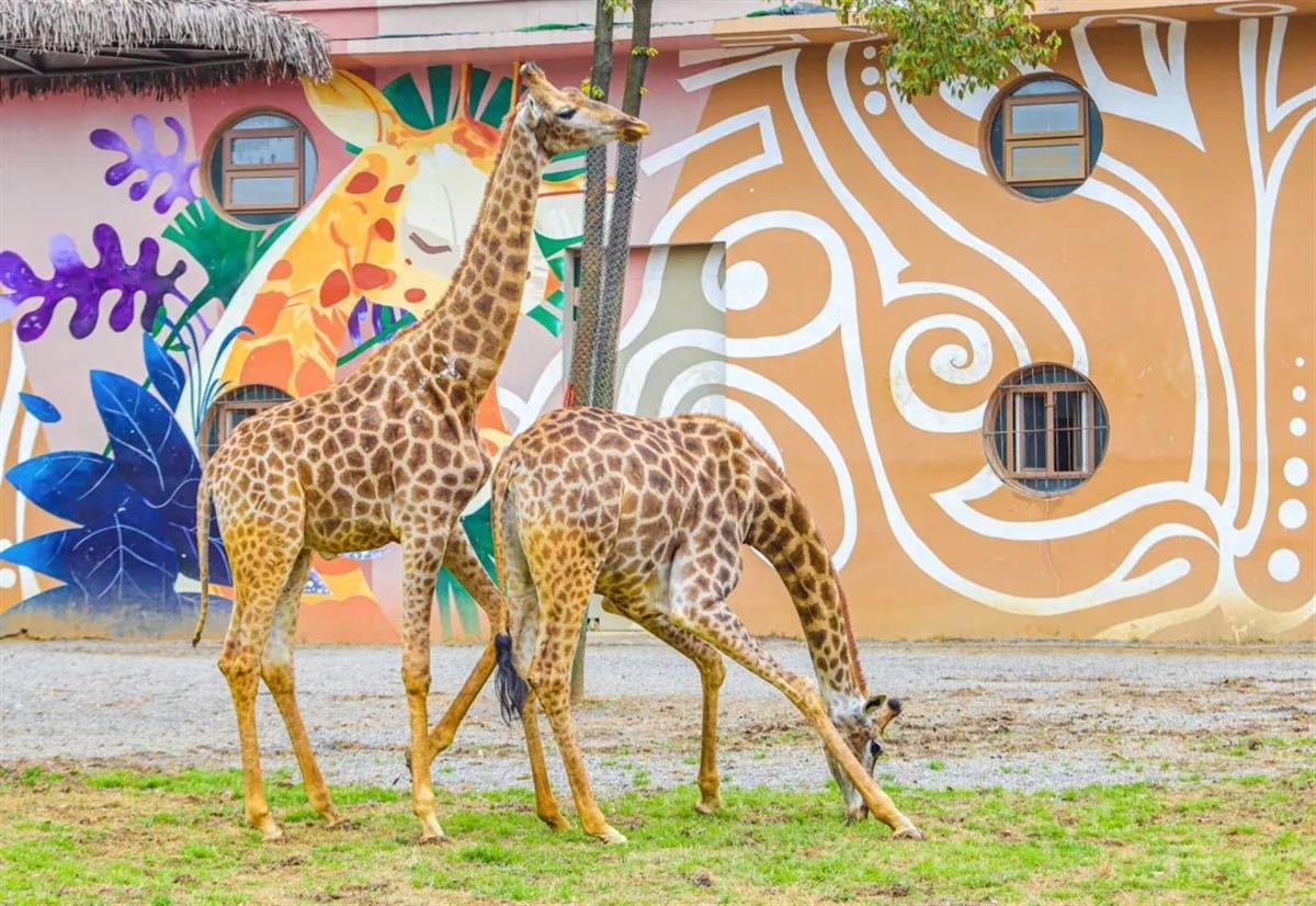 微信图片_20230517180854.jpg 微信图片_20230517180854.jpg