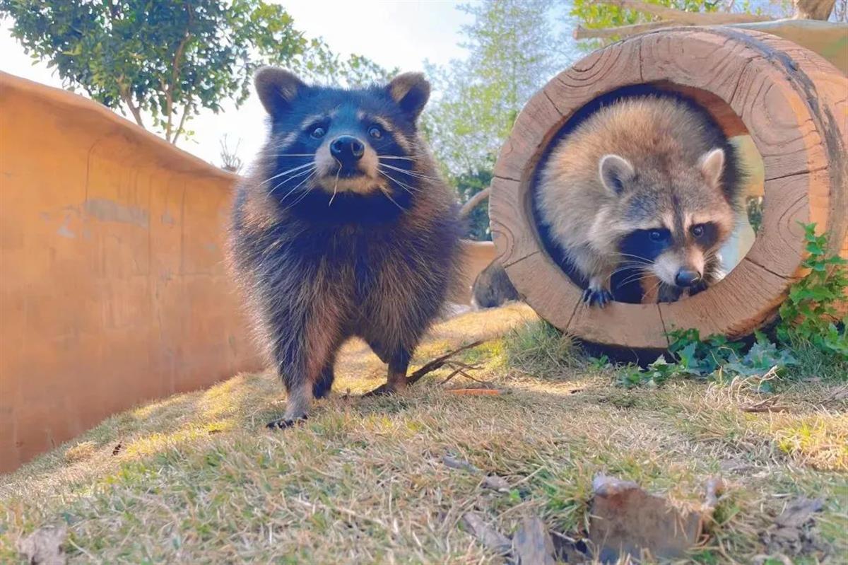 微信图片_20230517180908.jpg 微信图片_20230517180908.jpg