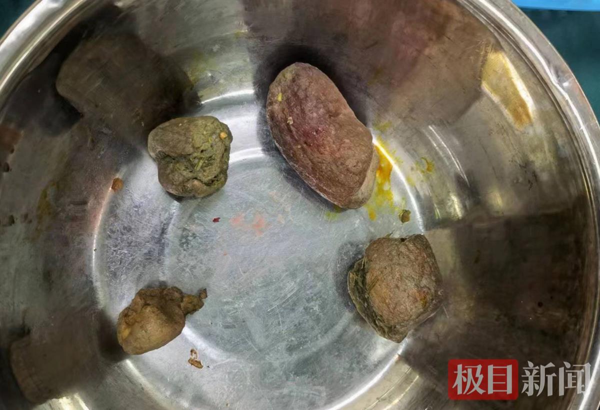 微信图片_20230519093232.jpg