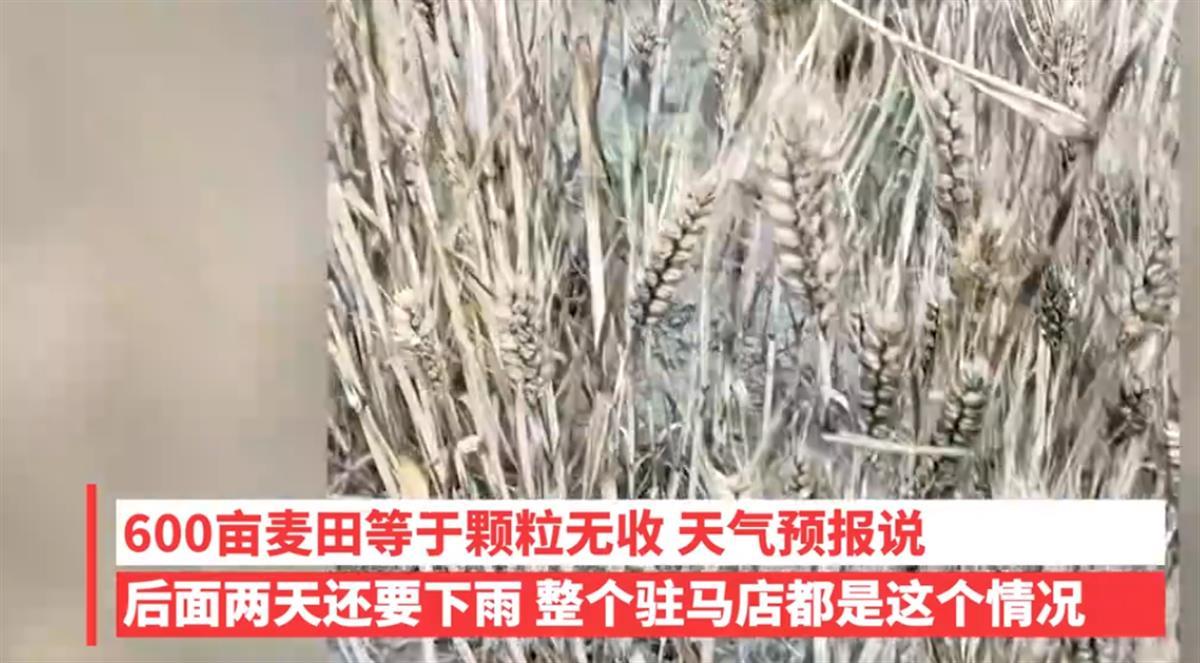 QQ图片20230529112906.png