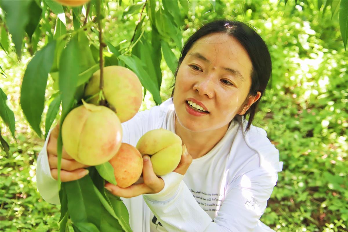 微信图片_20230621190036.jpg 微信图片_20230621190036.jpg