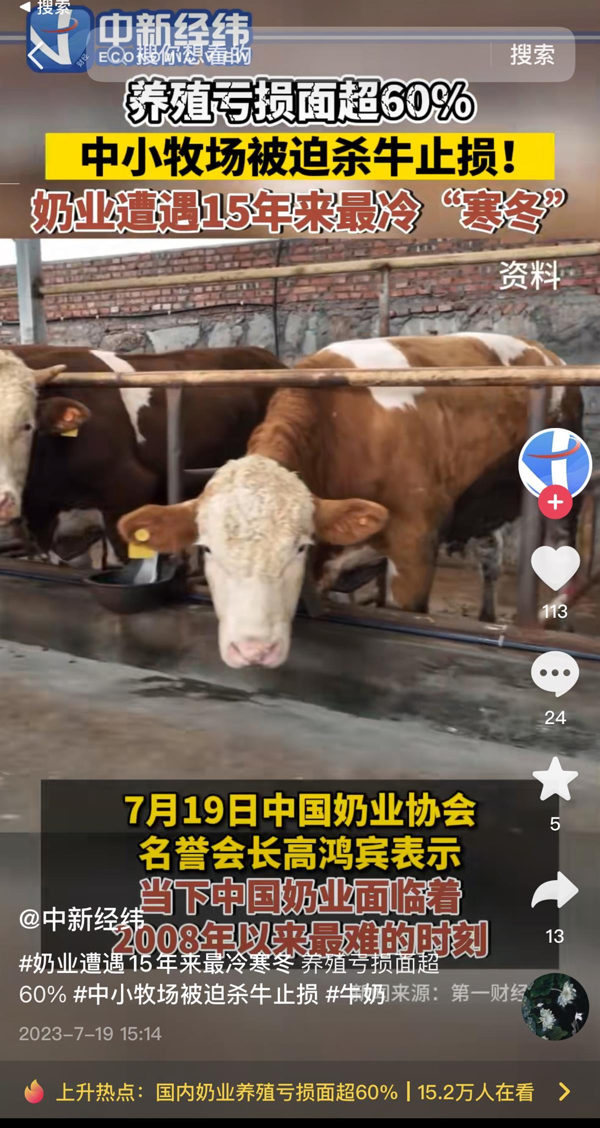 奶牛报道截图.jpg