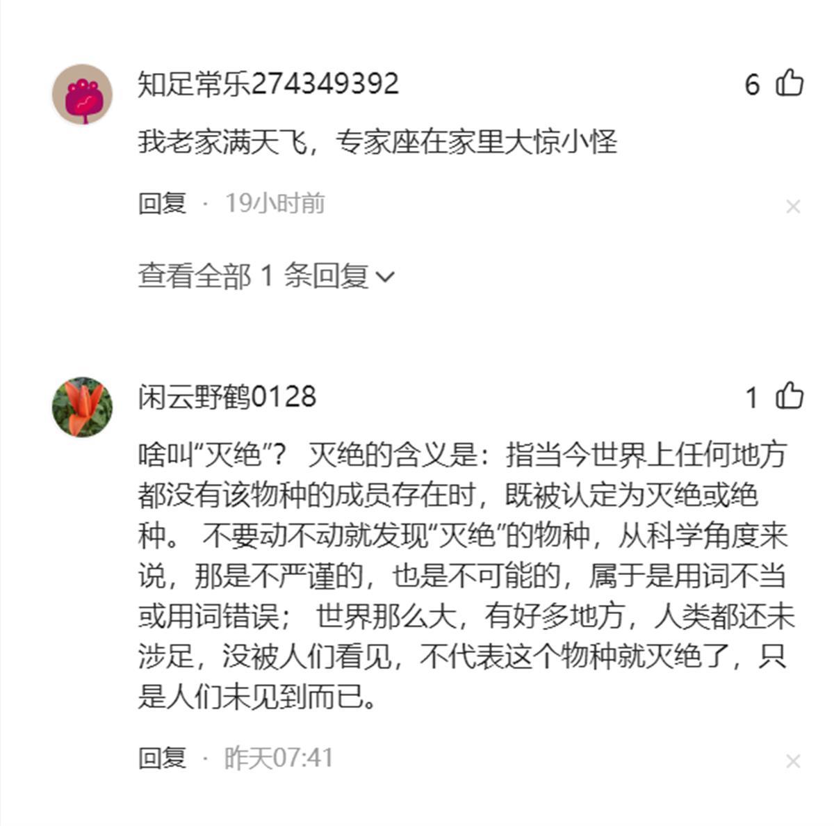 Ａ阳彩臂金龟５.png