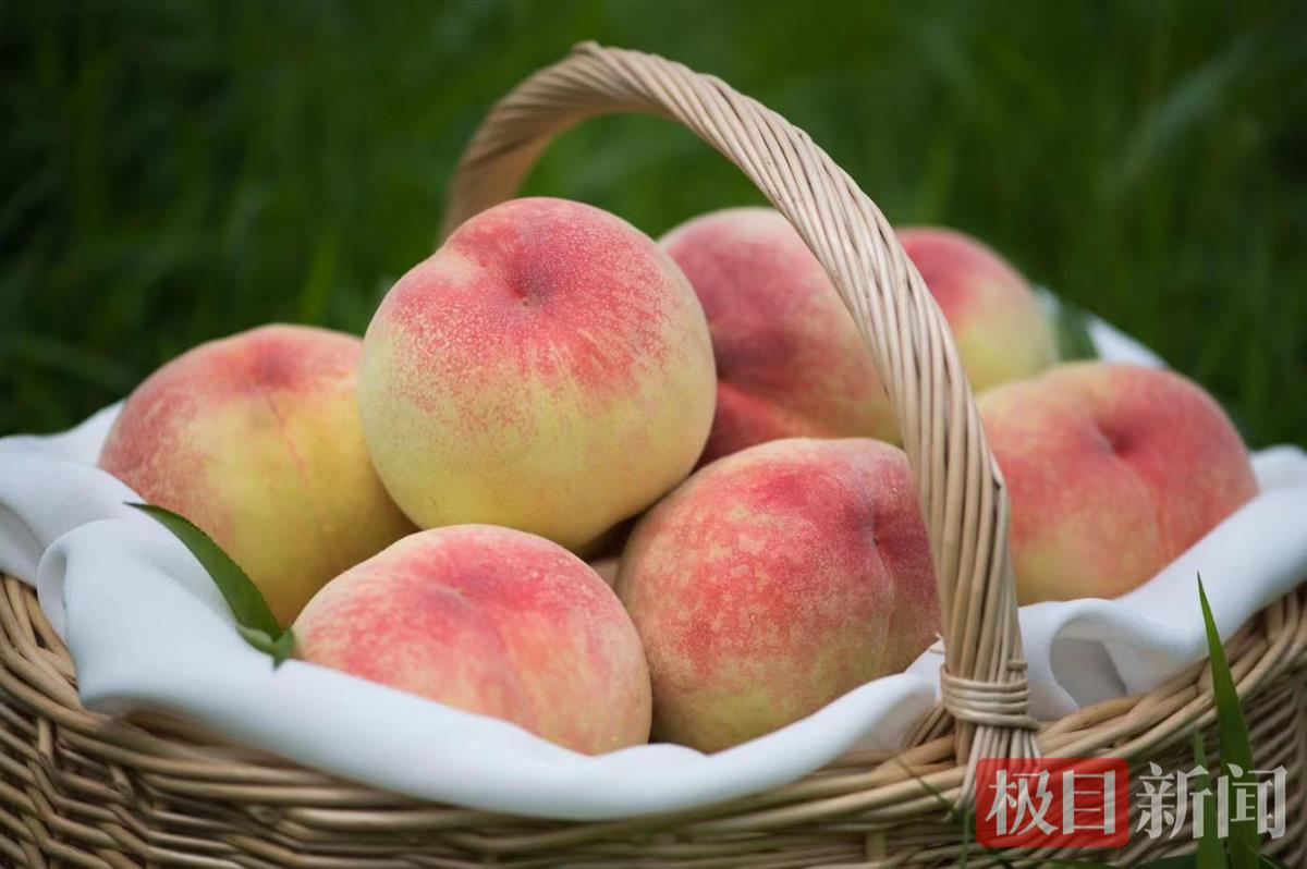 微信图片_20230724161151.jpg 微信图片_20230724161151.jpg