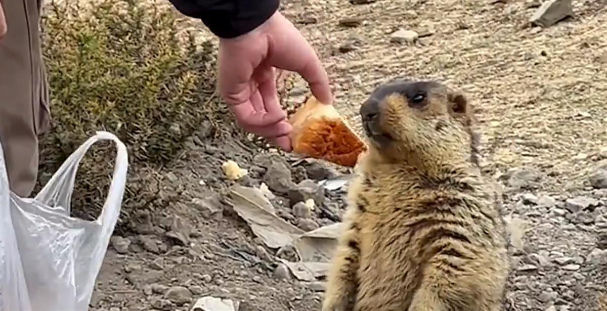 1690379858959.png 1690379858959.png