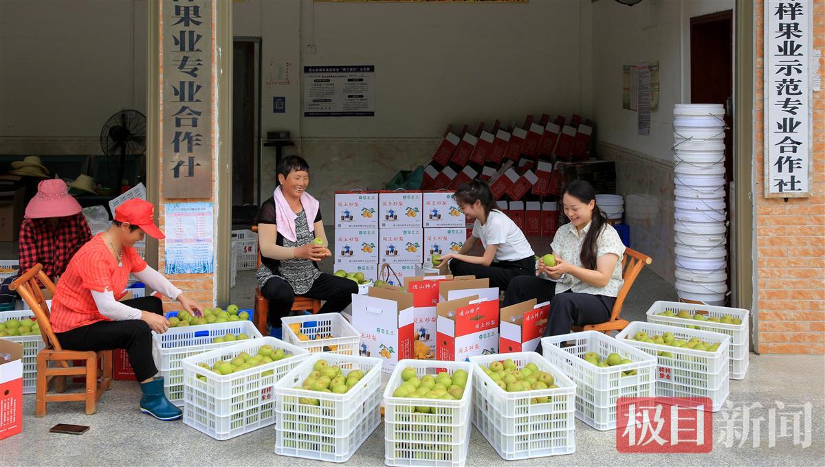 mmexport1690342383972.jpg mmexport1690342383972.jpg