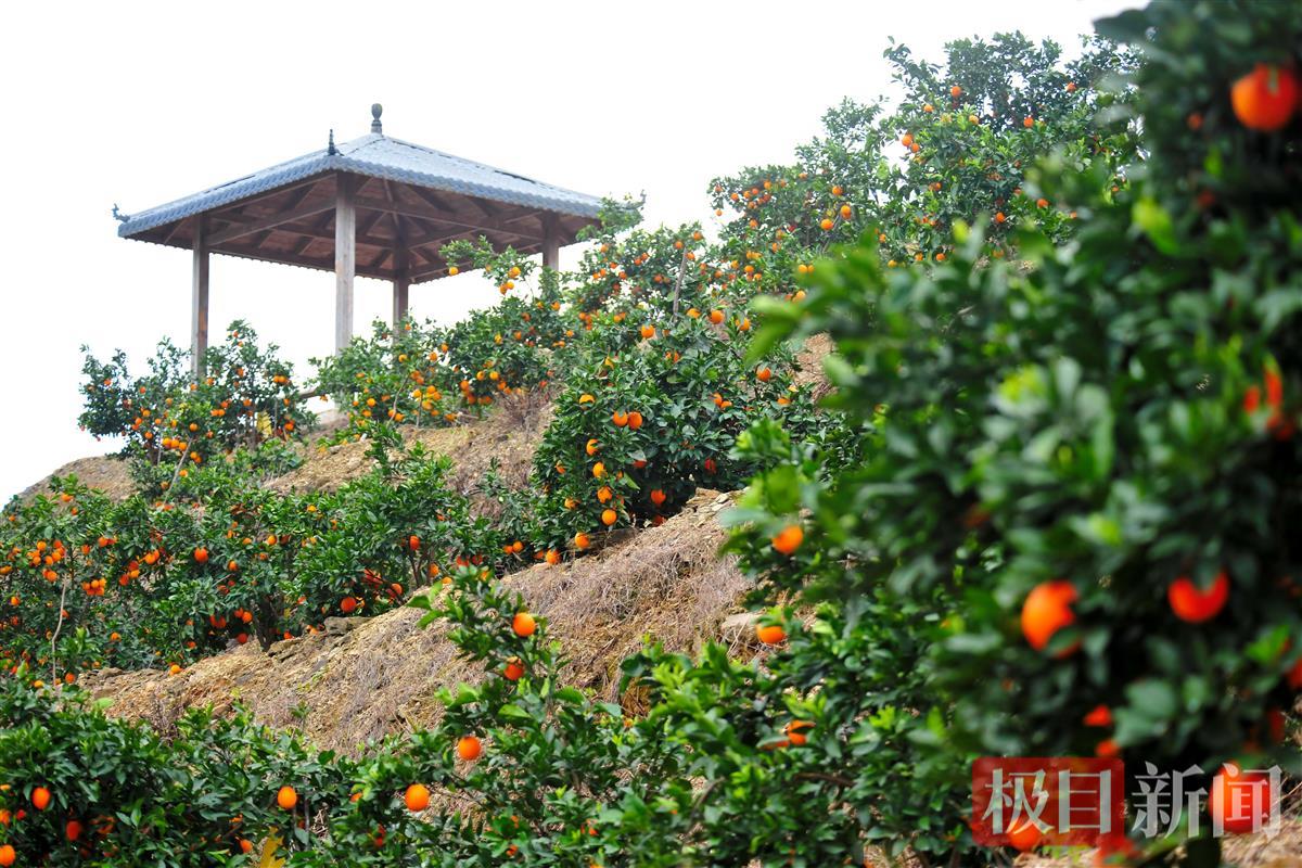 mmexport1690342398137.jpg mmexport1690342398137.jpg